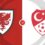 Wales vs Turkey Showdown: Euro 2024 Qualification Drama